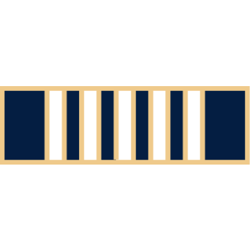 Smith & Warren SAB3_553 Eleven Section Service Award Bar (1-3/8" x 3/8")