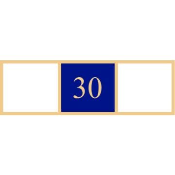 Smith & Warren SAB3_80 Three Section 30 Years of Service Award Bar (1-3/8" x 3/8")