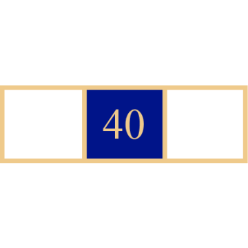 Smith & Warren SAB3_82 Three Section 40 Years of Service Award Bar (1-3/8" x 3/8")