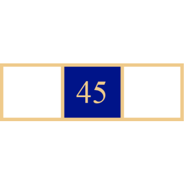 Smith & Warren SAB3_83 Three Section 45 Years of Service Award Bar (1-3/8" x 3/8")
