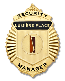 Lumiere Security