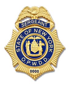 State of New York OPWDD